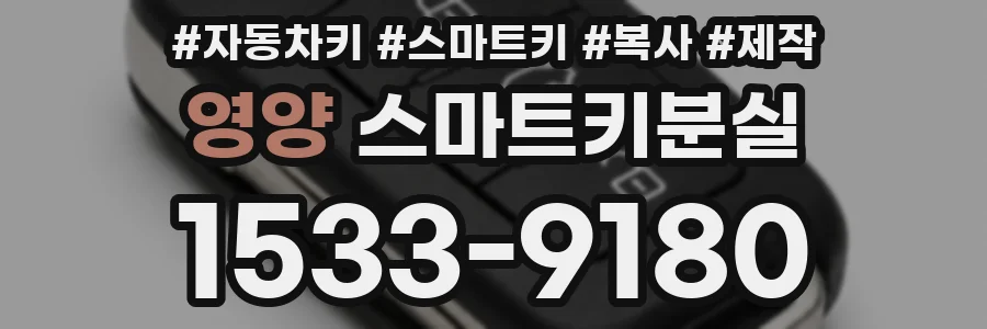 영양 스마트키분실