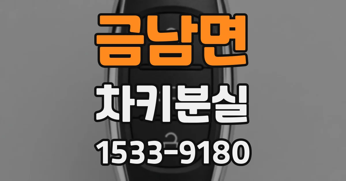 금남면 차키분실