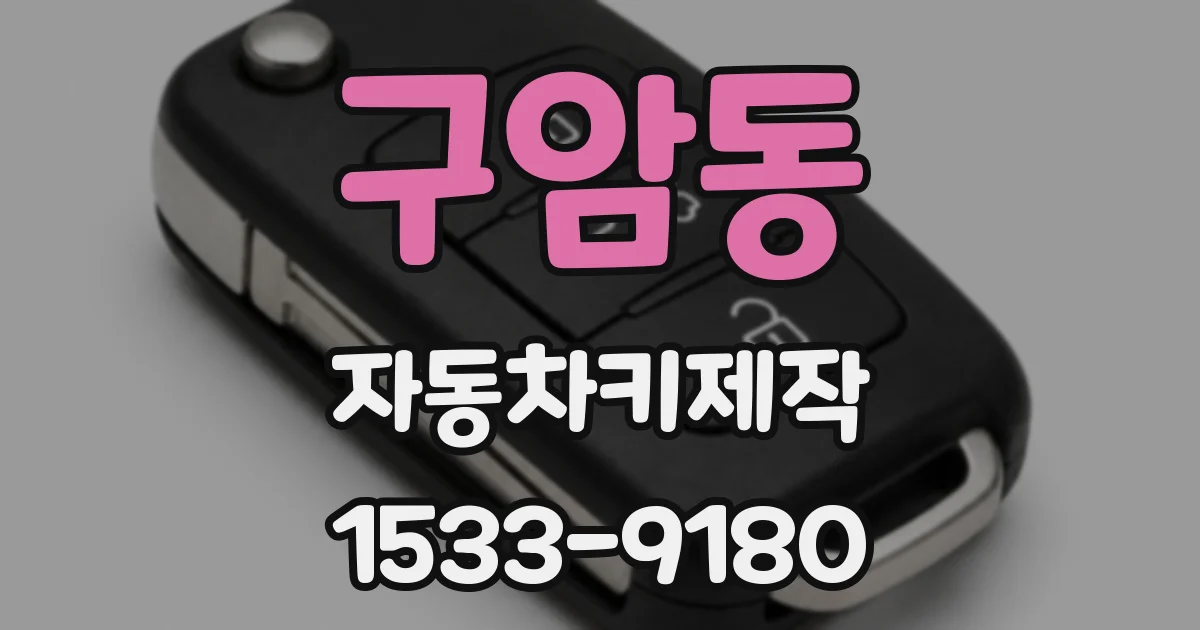 구암동 자동차키제작