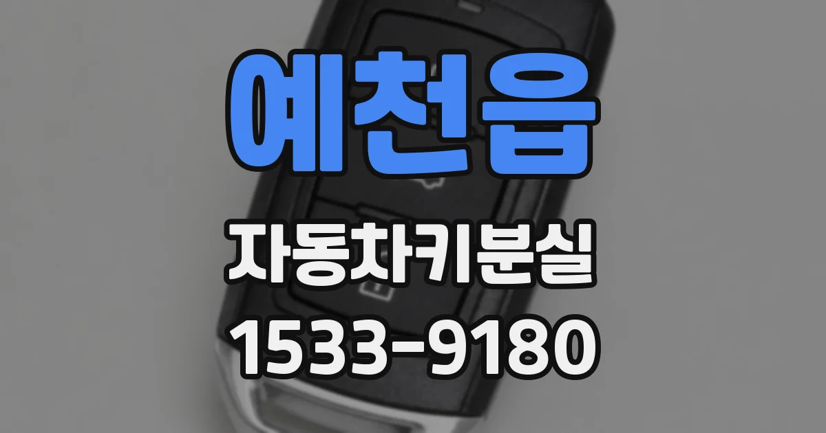예천읍 자동차키분실