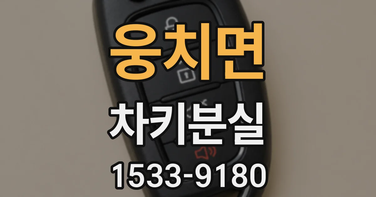 웅치면 차키분실