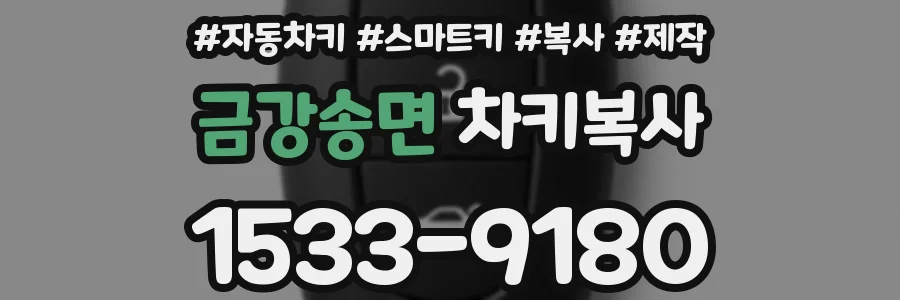 금강송면 차키복사