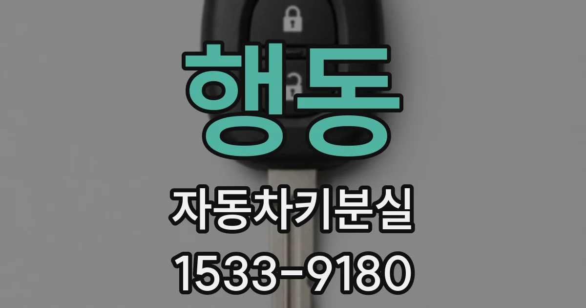 행동 자동차키분실