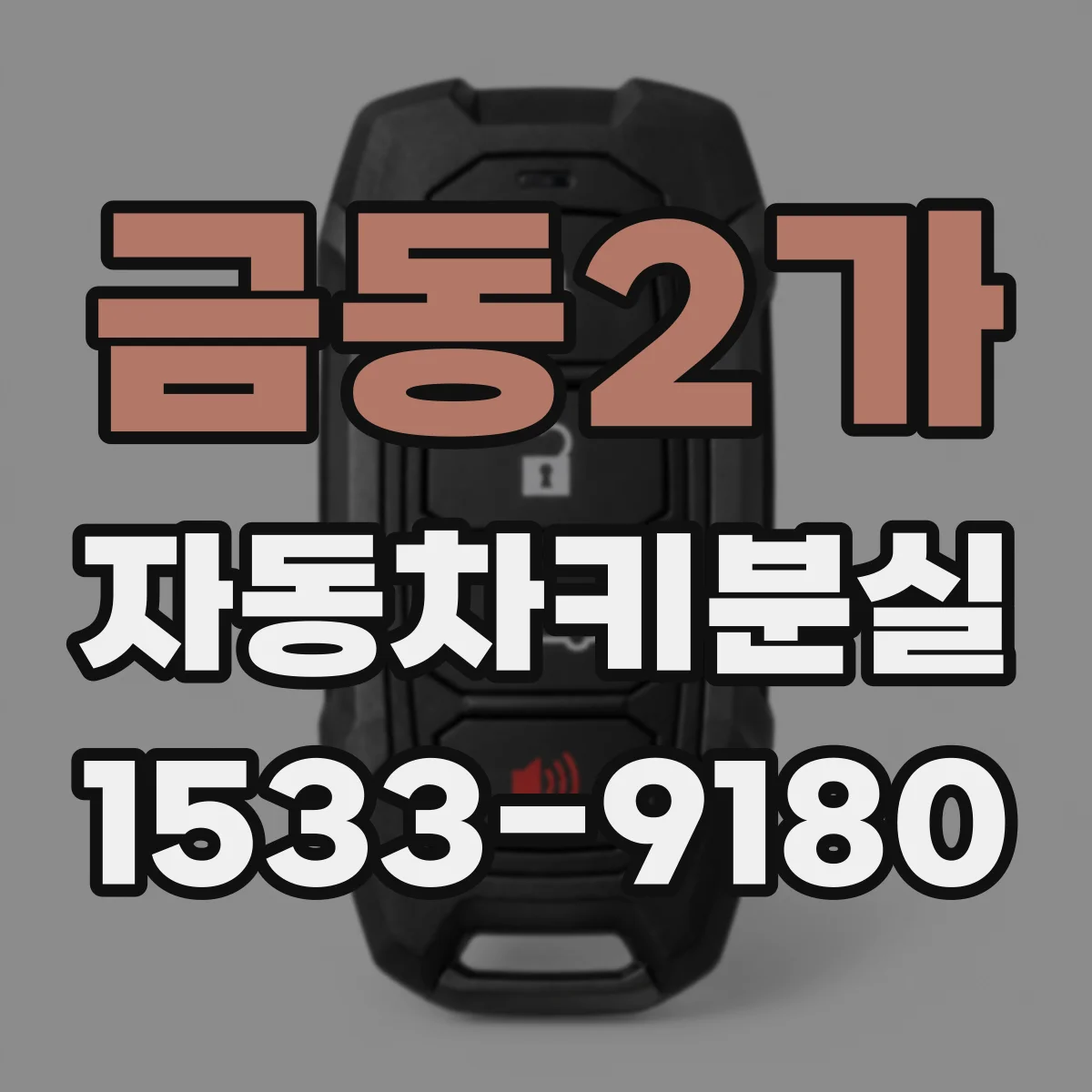 금동2가 자동차키분실
