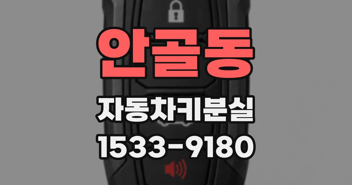 안골동 자동차키분실