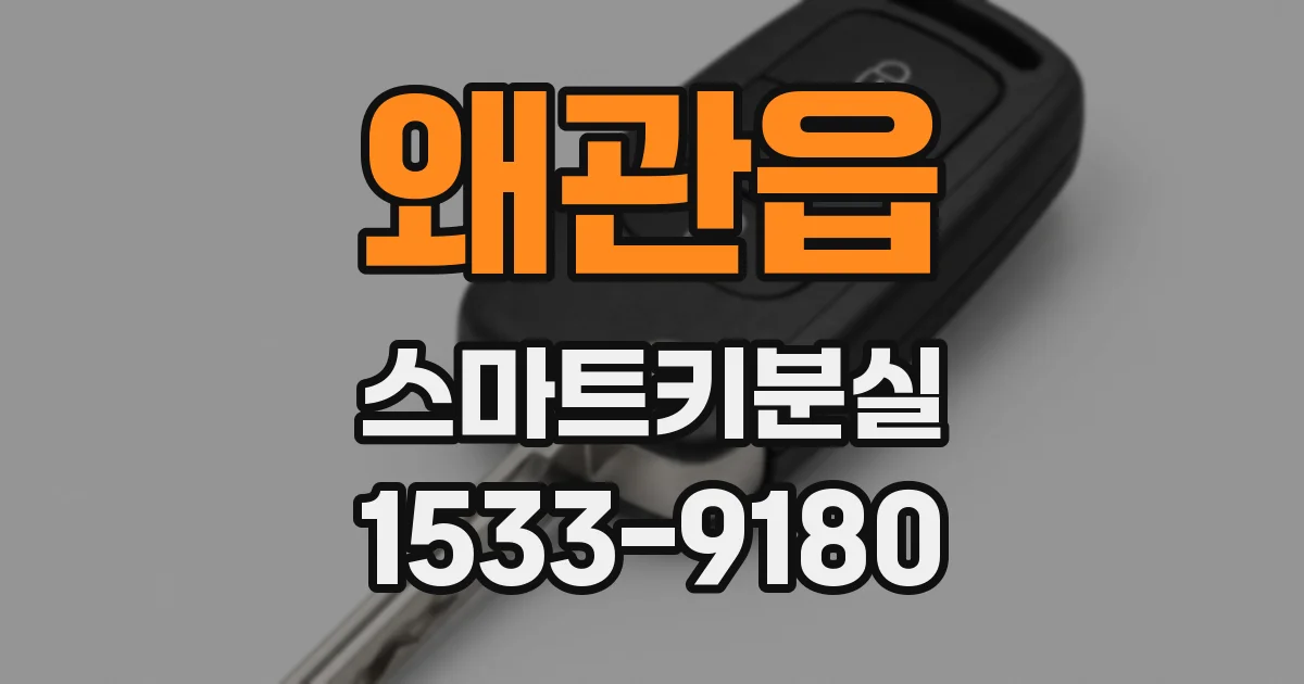 왜관읍 스마트키분실
