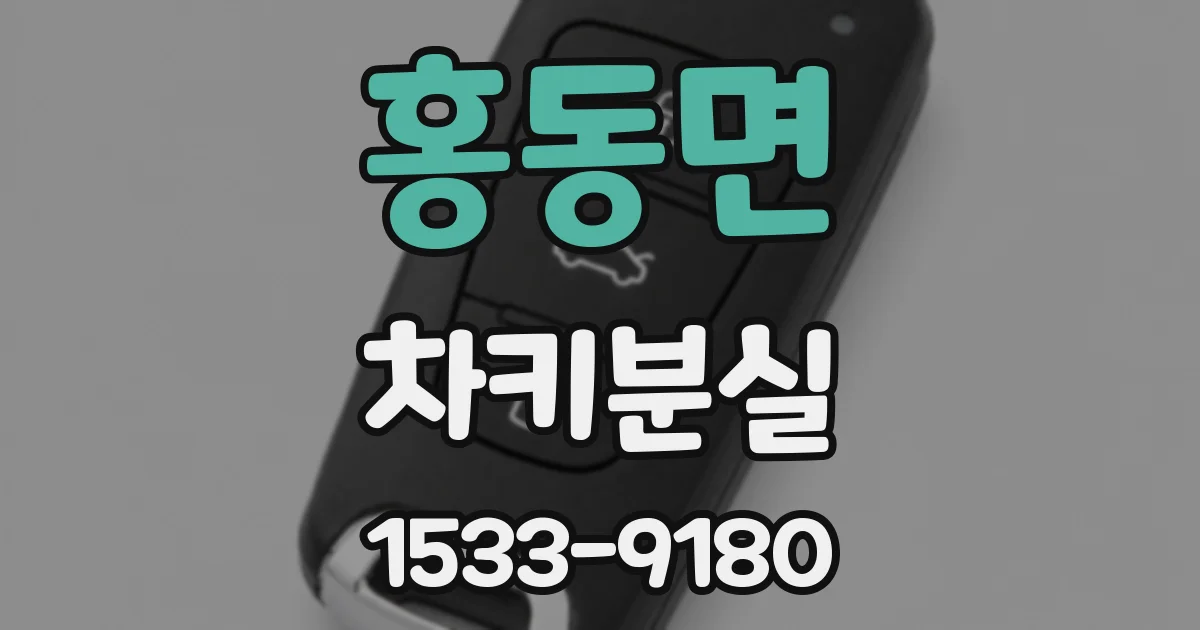 홍동면 차키분실