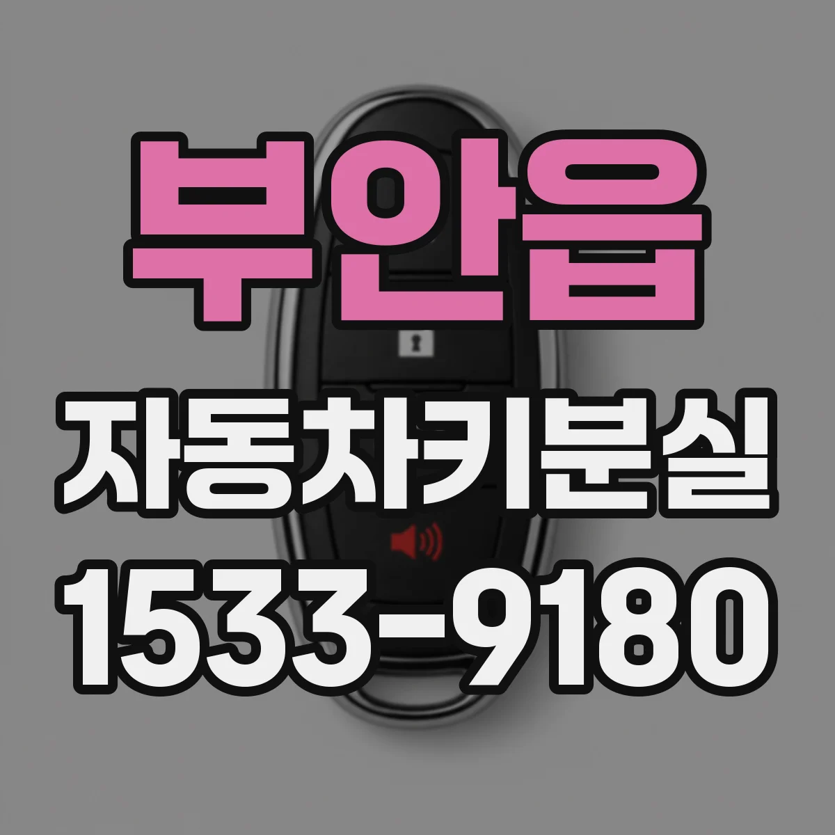 부안읍 자동차키분실