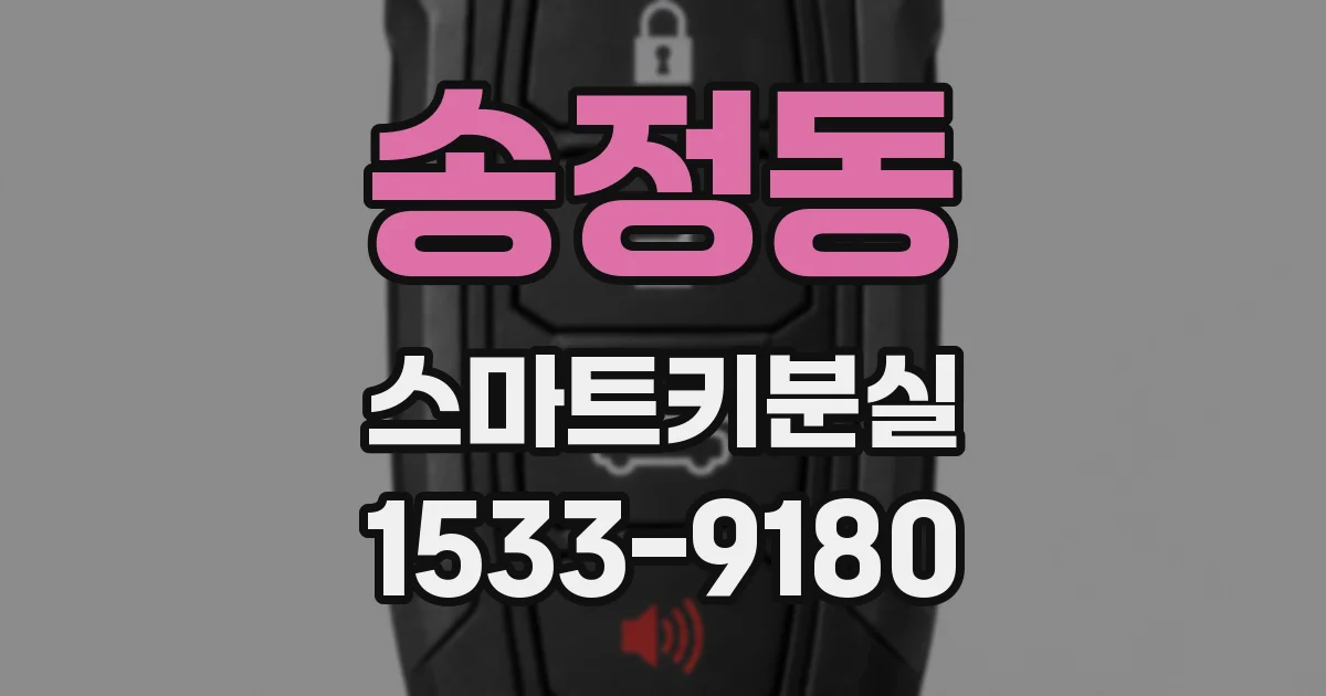 송정동 스마트키분실