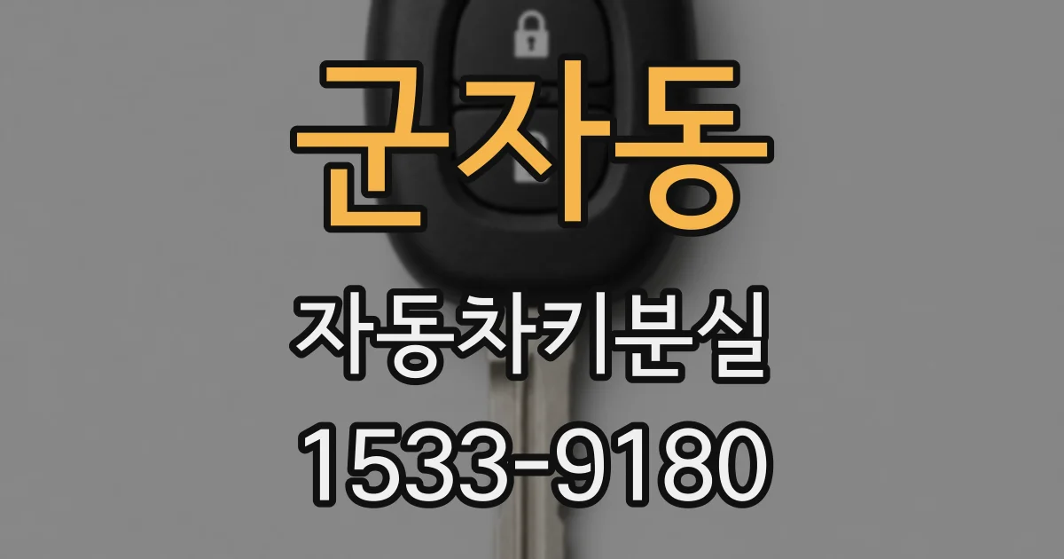 군자동 자동차키분실