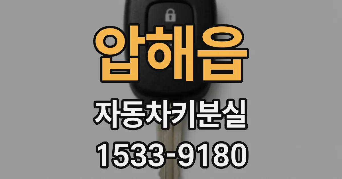 압해읍 자동차키분실