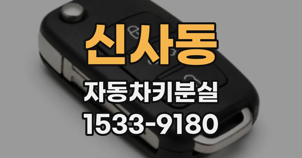 신사동 자동차키분실