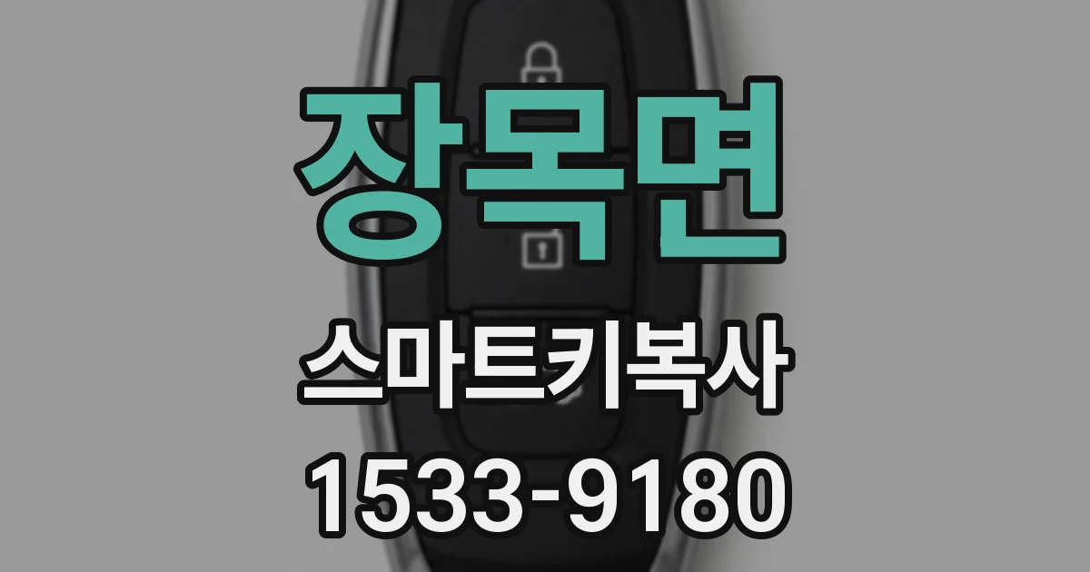 장목면 스마트키복사