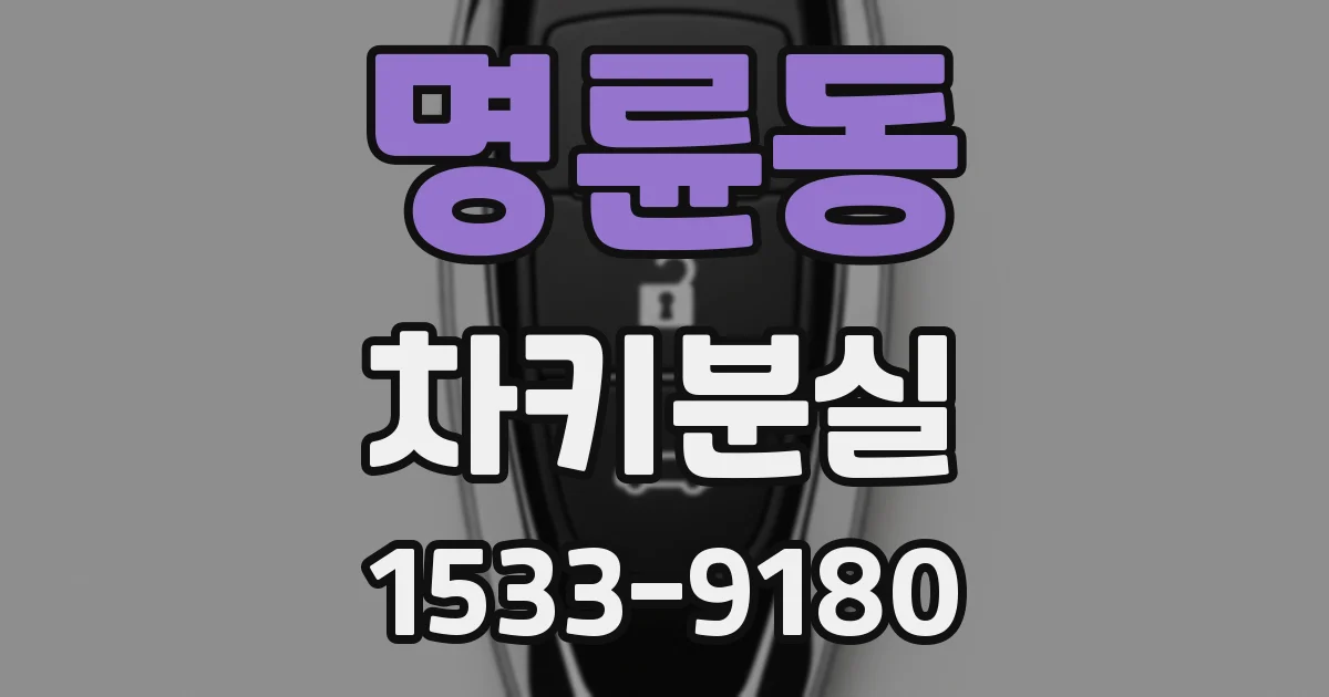 명륜동 차키분실