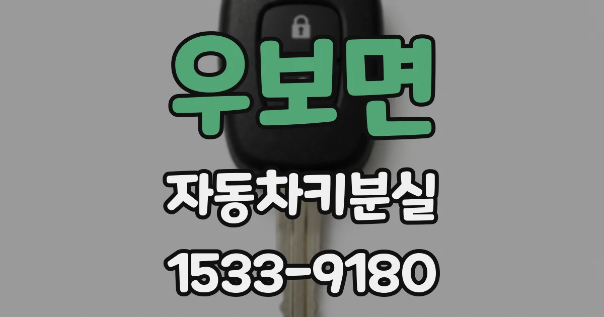 우보면 자동차키분실