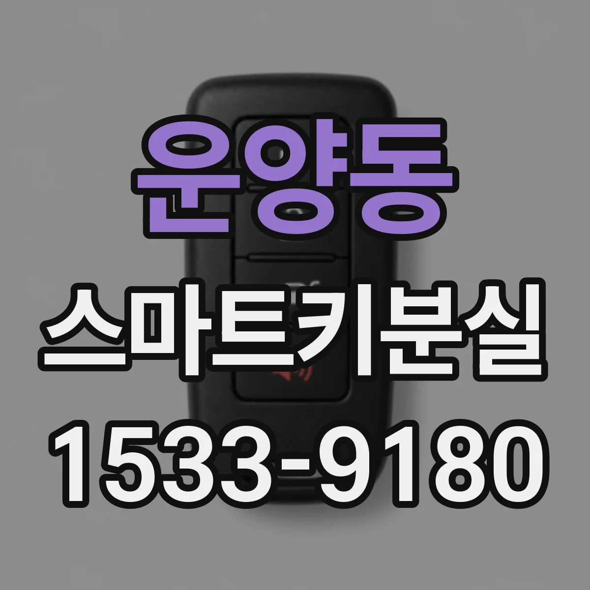 운양동 스마트키분실