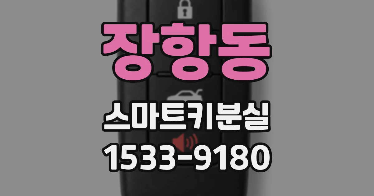 장항동 스마트키분실