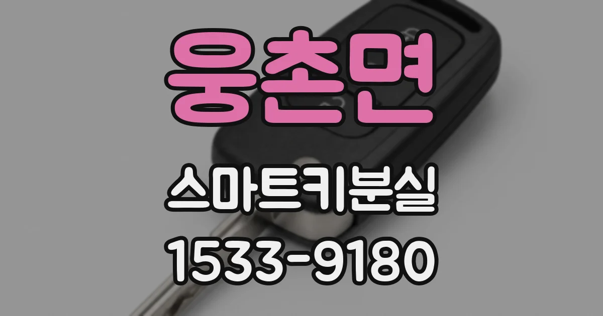 웅촌면 스마트키분실