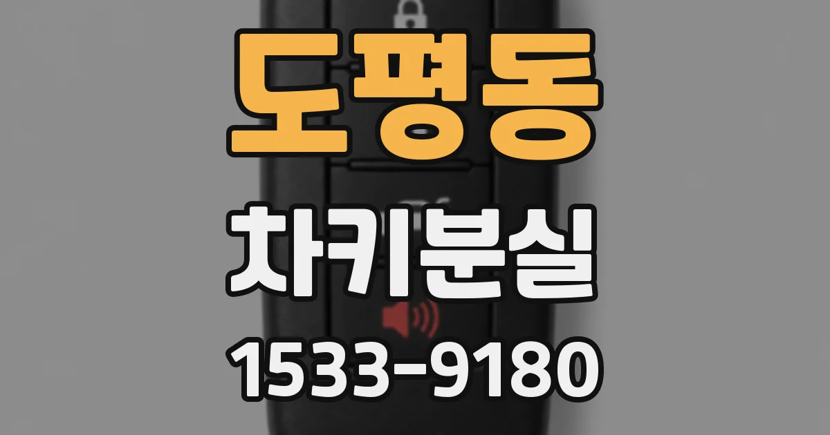 도평동 차키분실