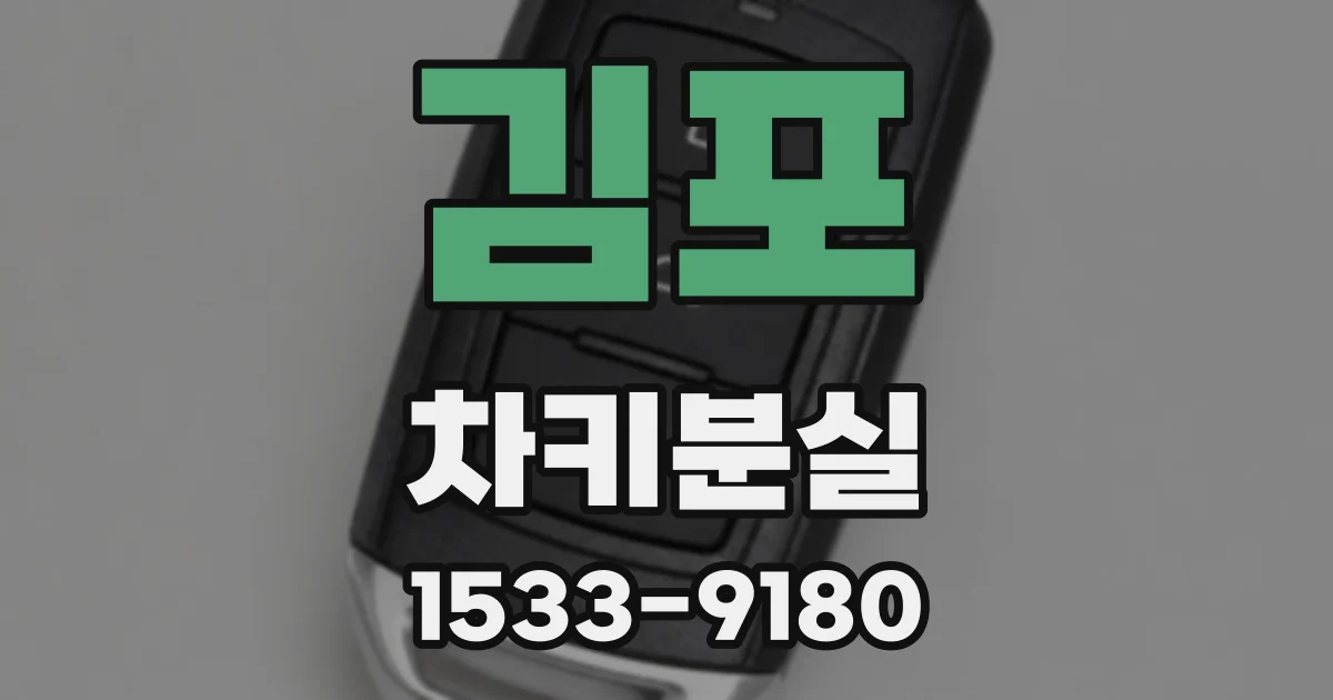 김포 차키분실
