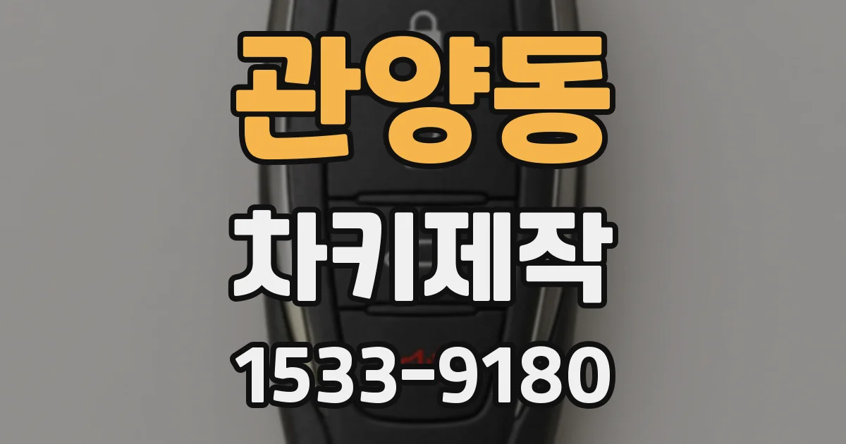 관양동 차키제작