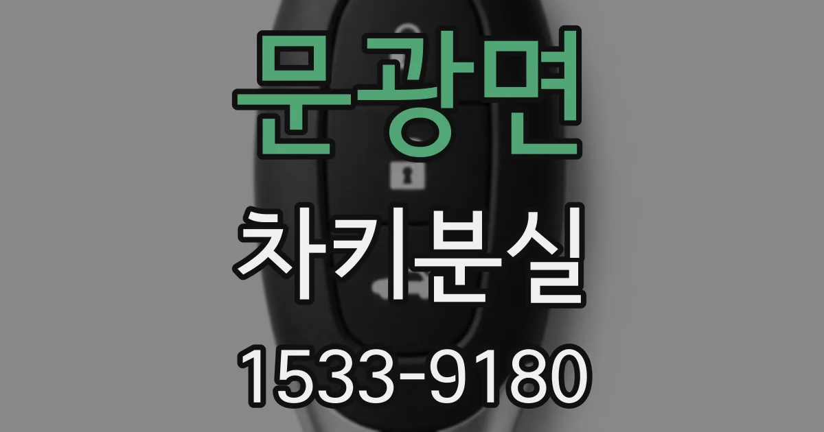 문광면 차키분실