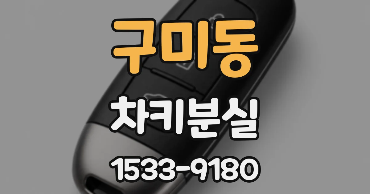 구미동 차키분실