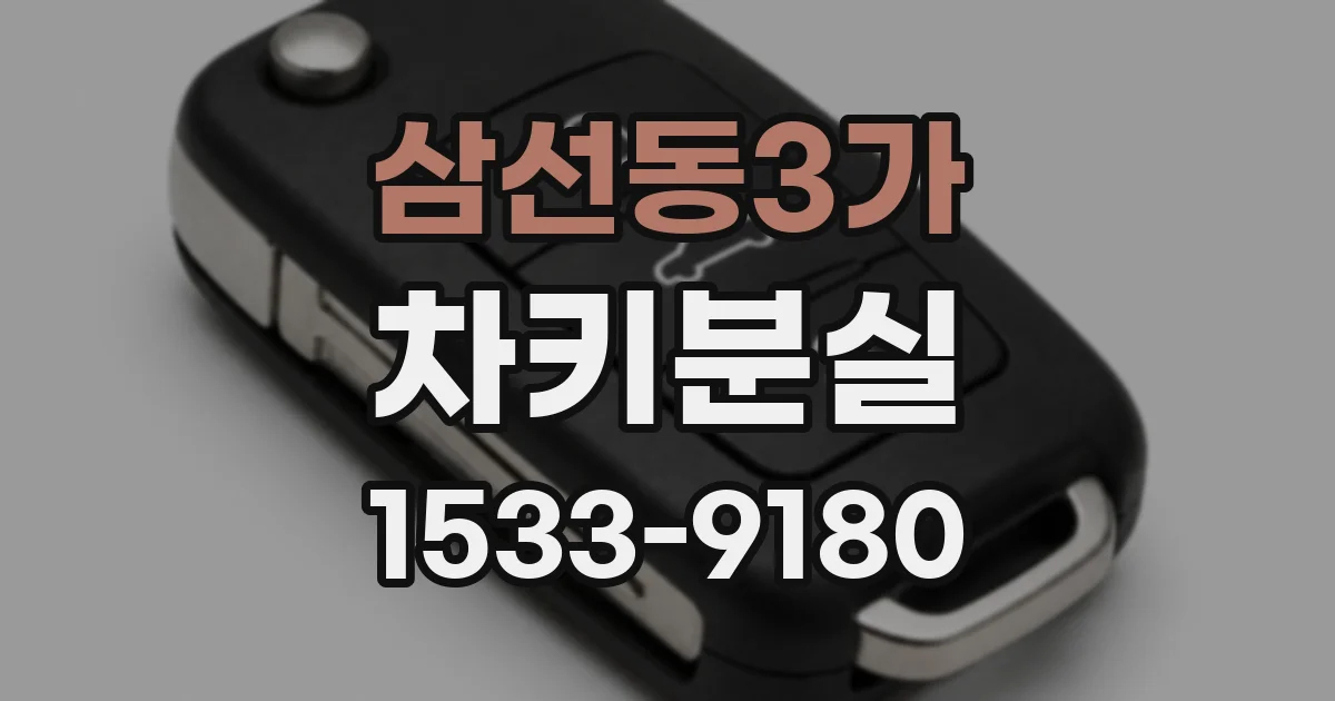 삼선동3가 차키분실