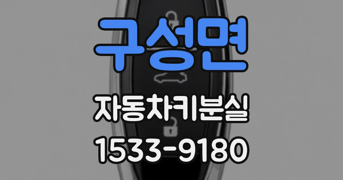 구성면 자동차키분실
