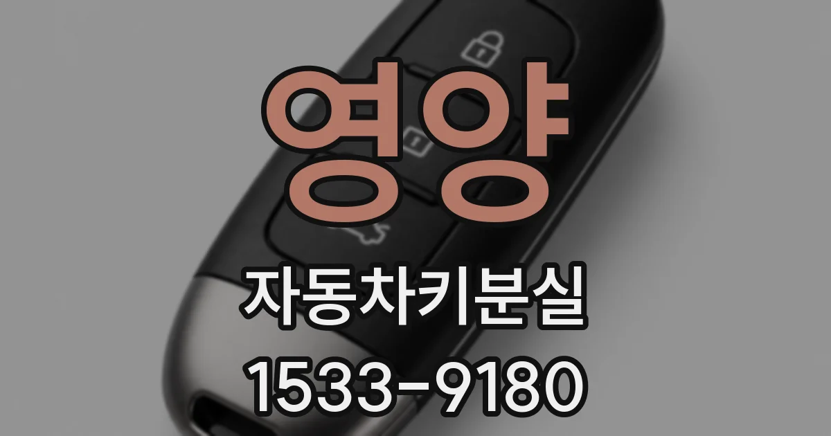 영양 자동차키분실