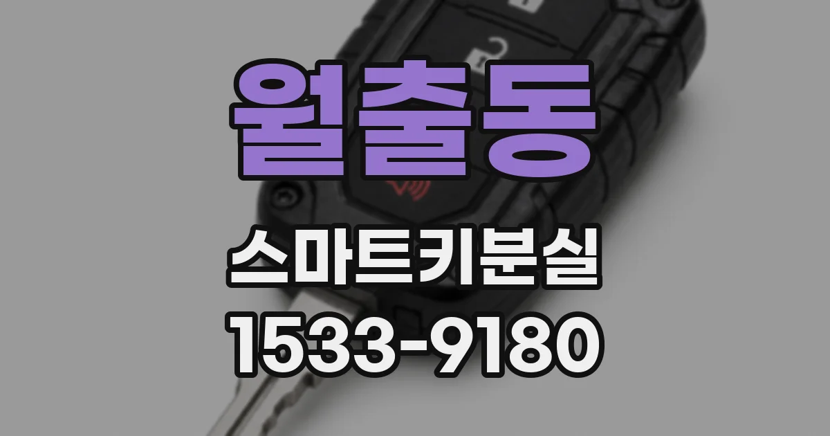 월출동 스마트키분실
