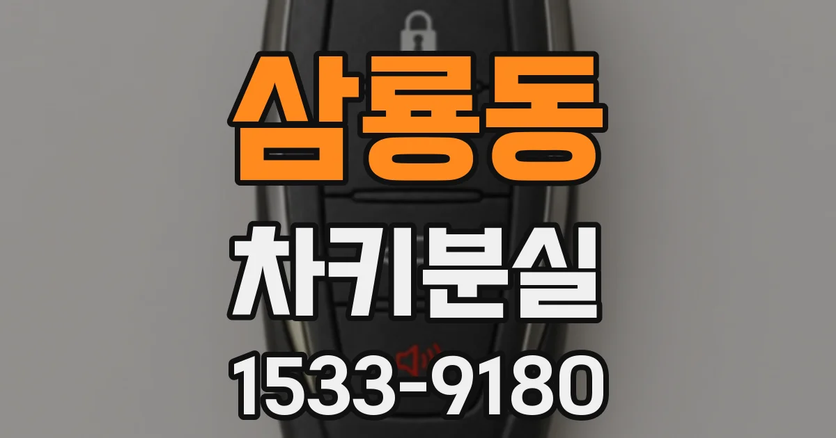 삼룡동 차키분실