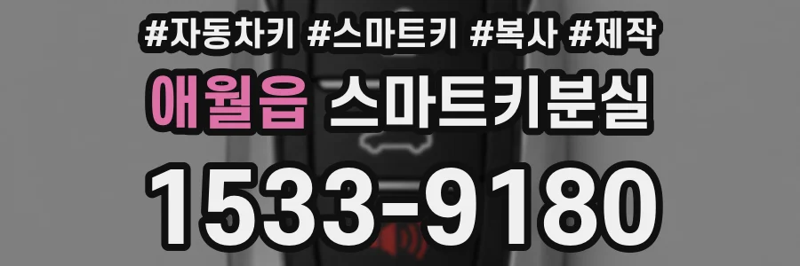 애월읍 스마트키분실