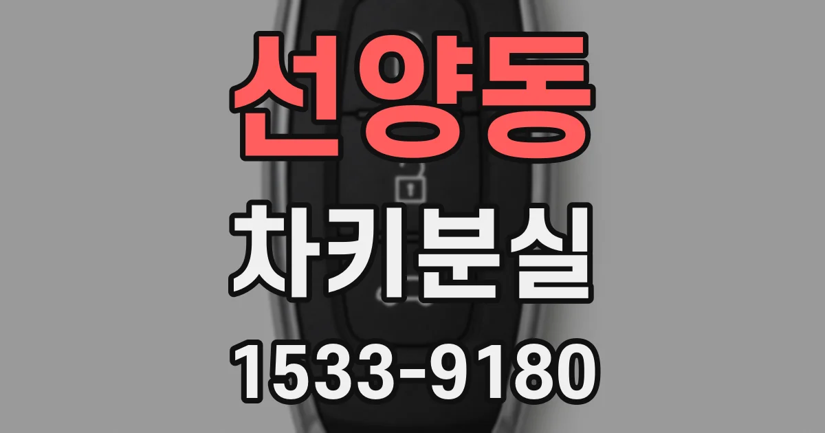 선양동 차키분실