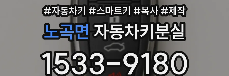 노곡면 자동차키분실