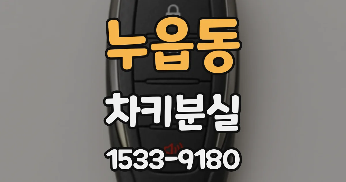 누읍동 차키분실