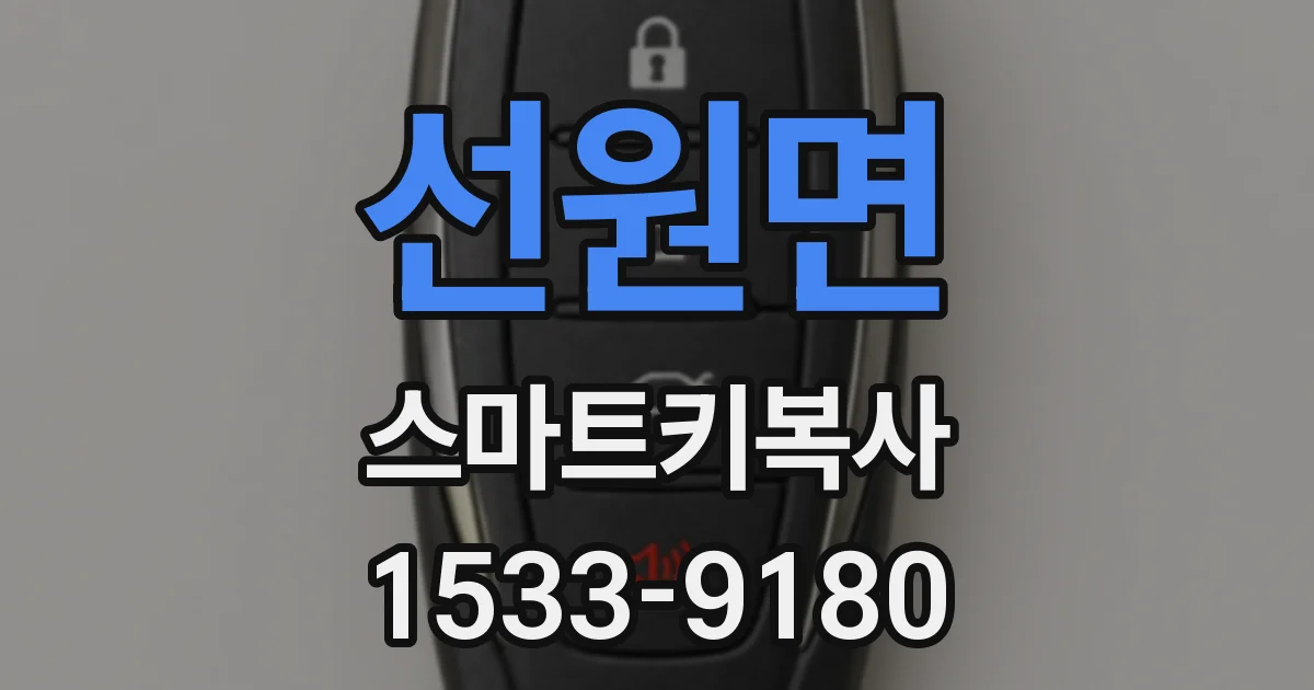선원면 스마트키복사