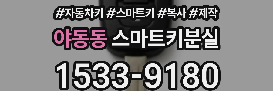 야동동 스마트키분실