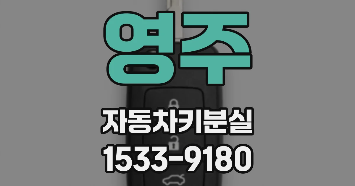 영주 자동차키분실