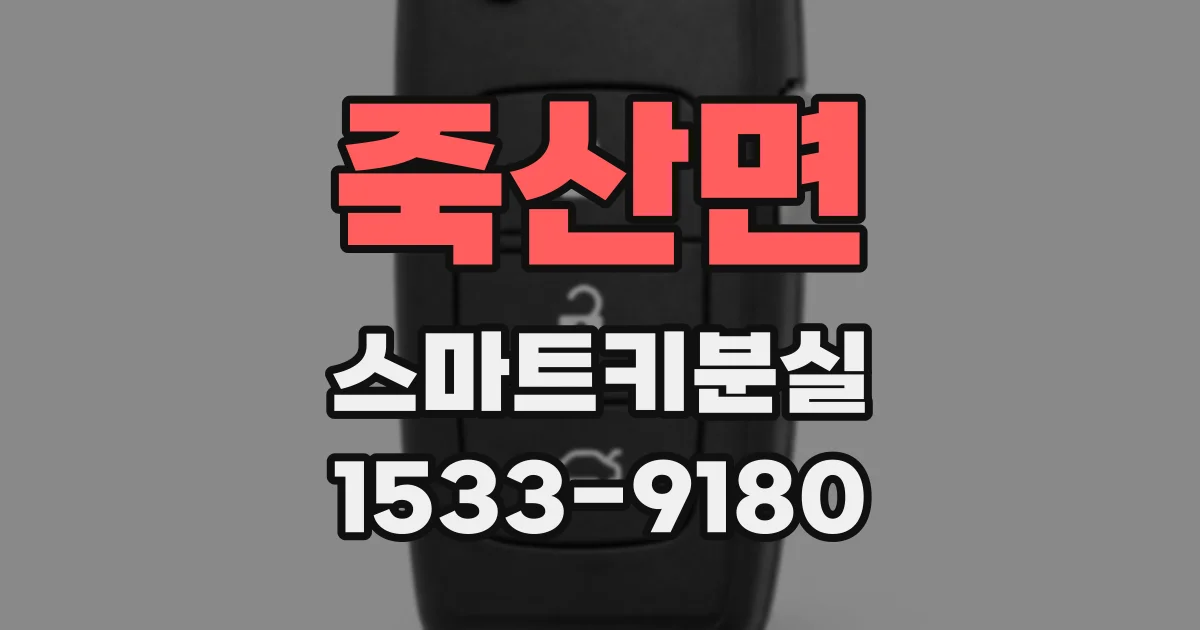 죽산면 스마트키분실