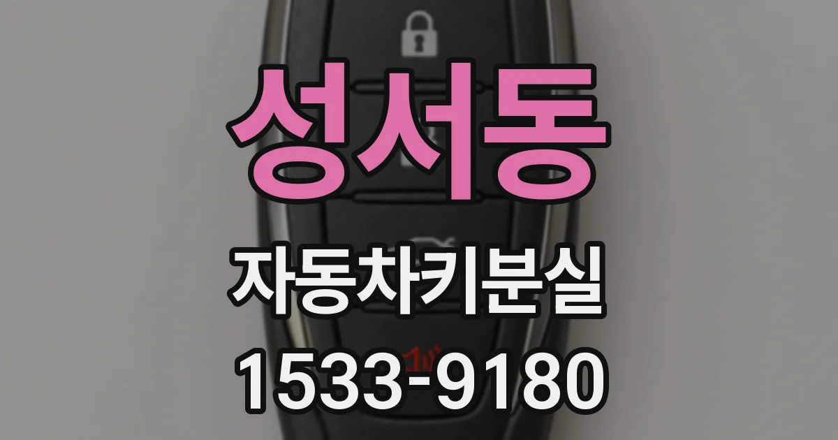 성서동 자동차키분실