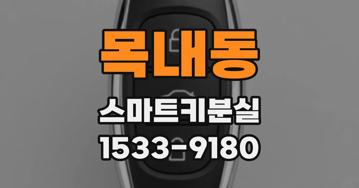 목내동 스마트키분실