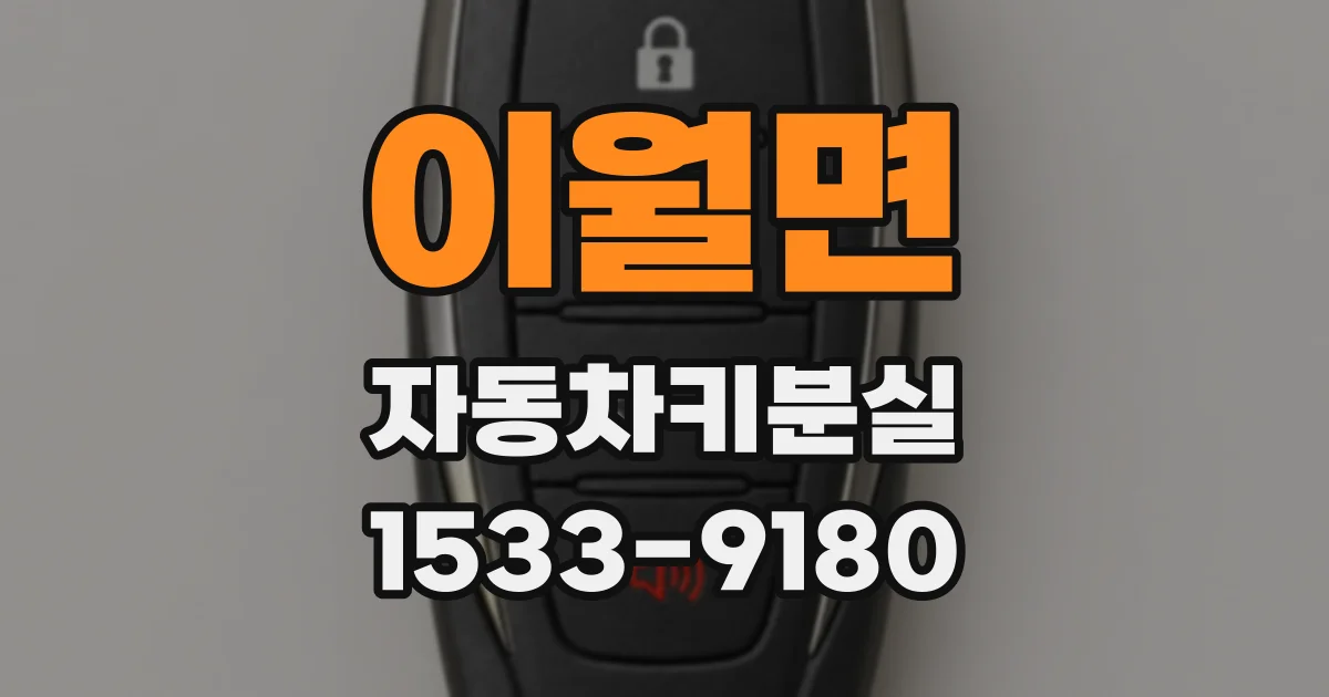 이월면 자동차키분실