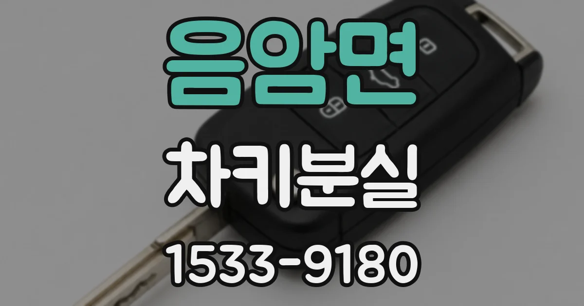 음암면 차키분실