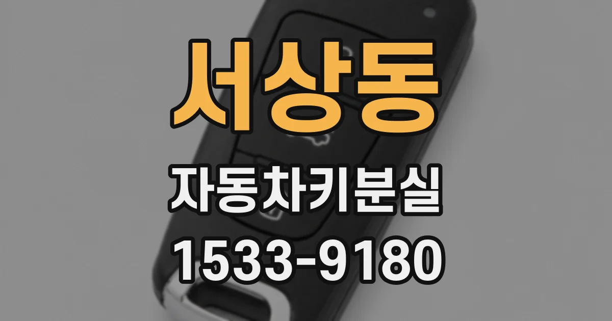 서상동 자동차키분실