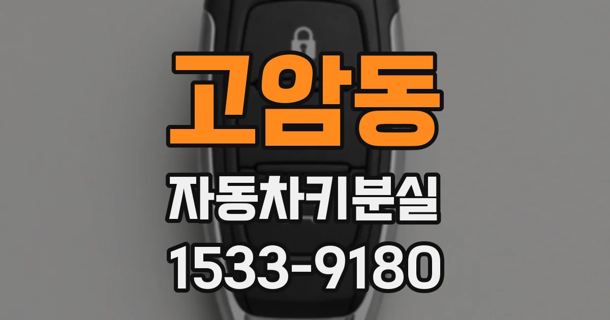 고암동 자동차키분실