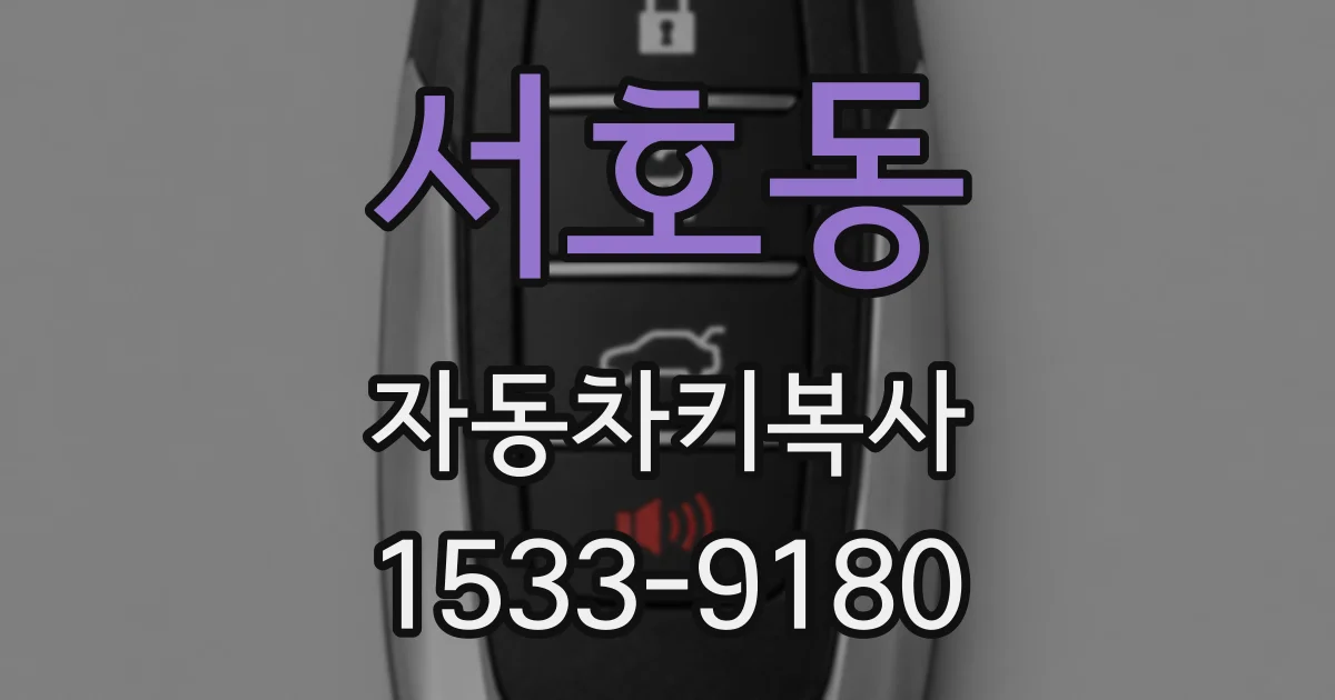 서호동 자동차키복사
