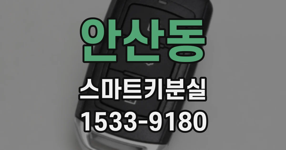 안산동 스마트키분실