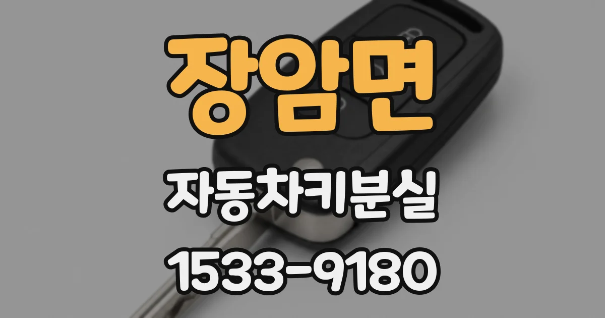 장암면 자동차키분실