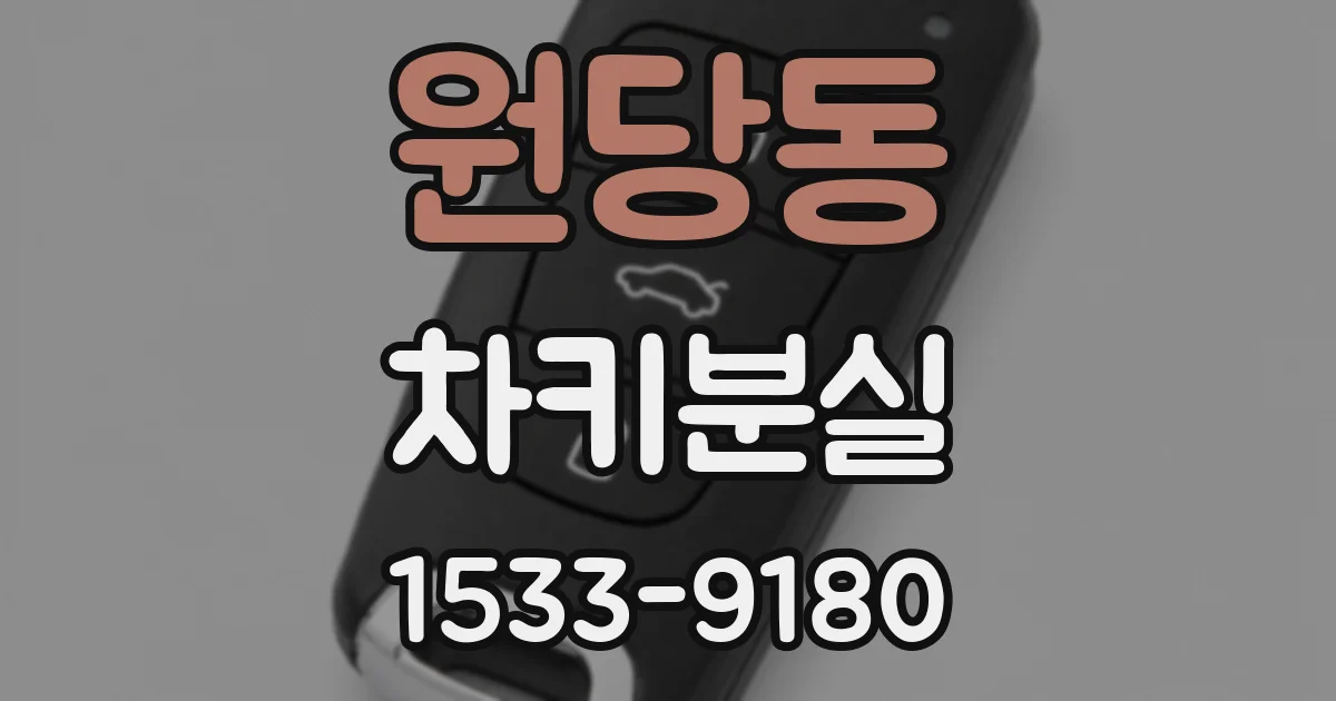 원당동 차키분실